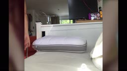 保存用