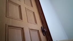 豆