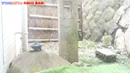 温泉　通常版　2021　東北旅　1