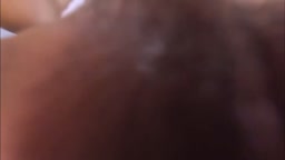 はめ