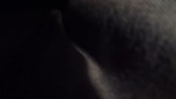 狂24