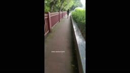 Encoxada Dickflash cum ass
