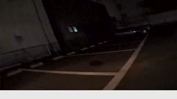 格付け 時系列 N41