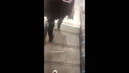 Encoxada Dickflash cum ass