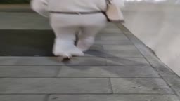 追跡尻