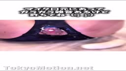 試し