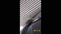 Encoxada Dickflash cum ass