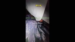 Encoxada Dickflash cum ass