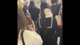痴
