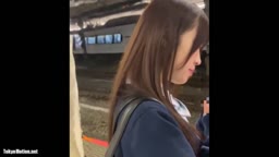 鷺