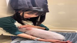 濡れ場でいいから頼む
