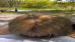 個撮