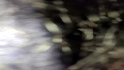 Encoxada 3 (part 2)