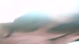 はめ