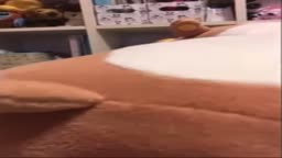 ビデオ通話