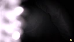 置換１