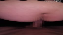 なにそれ 14