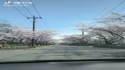 か