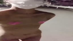 野外露出
