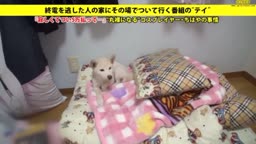 277DCV-032 ちはや