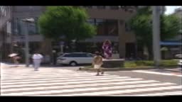 道の真ん中