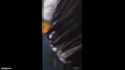 痴