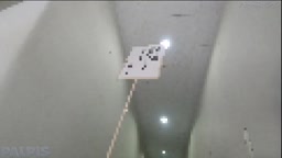 Tバック