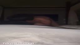 鼻