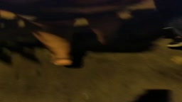 Touch ass