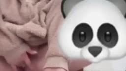 おな 広い