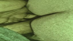 Encoxada - she herself put my whole penis in her ass.