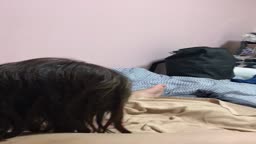 セフレとセックスナイン