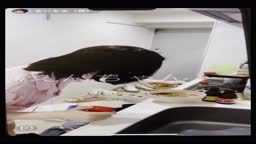 るーるる 乳首