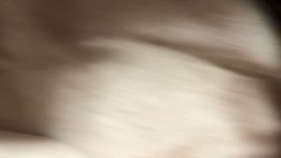 セフレにぃたずら
