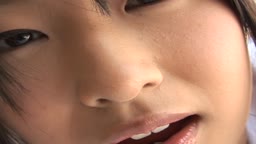 Ⅳ