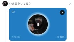 X裏垢女子　オホ声