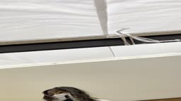 下取り