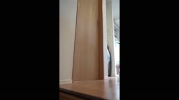 親子