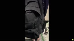 青チェに連日