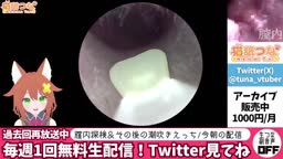 拾いもの57