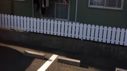 拝借 01