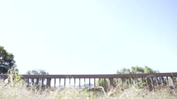 IV_Kaho_K_02