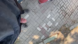 Showing my cock to the Turkish auntie who was secretly looking at me – Part 2 dick flash