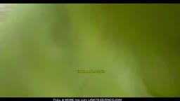 Encoxada Dickflash