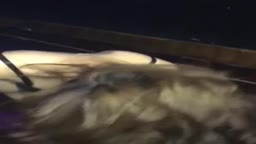 ポロリ 3 美人ダンサー