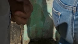 Ass 17