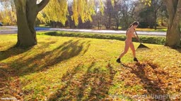 LiHa - Autumn chores
