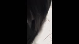 jav