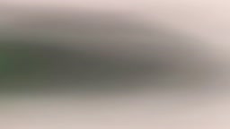 ライブチャット