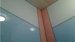 ライブ配信映像